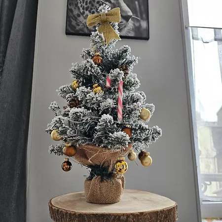 Les Z'amours Appartement *