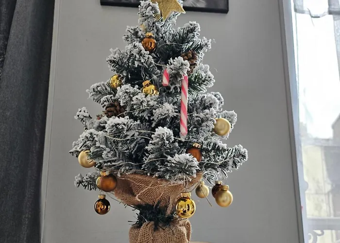 Les Z'amours Apartamento *