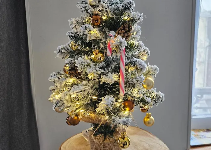 Les Z'amours Apartamento